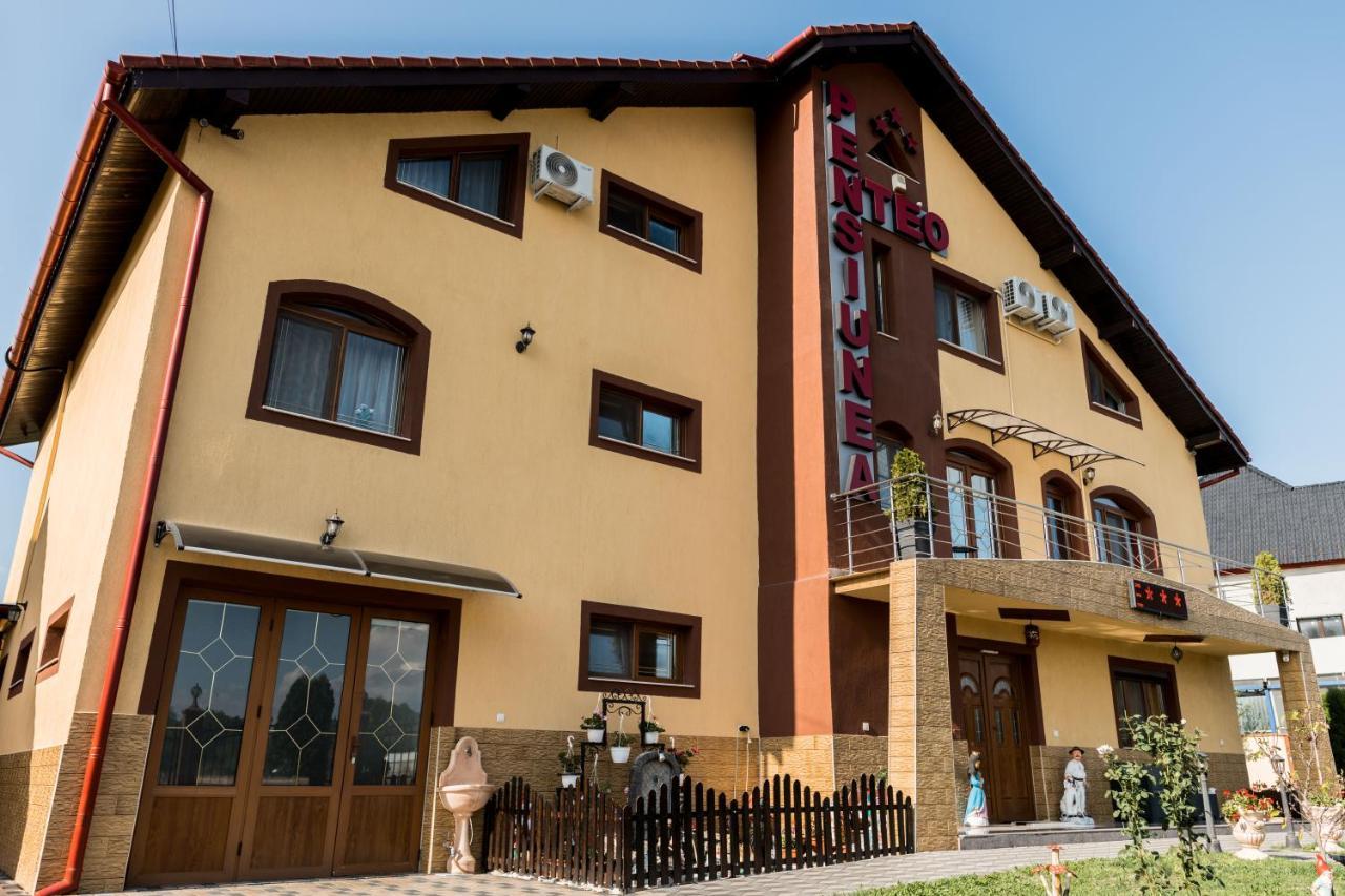 Pensiunea Teo Caransebes Exterior photo